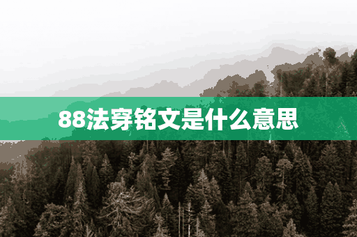 88法穿铭文是什么意思